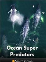 Ocean Super Predators在线观看