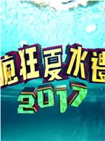 疯狂夏水礼2017在线观看