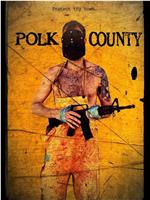 Polk County