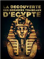 La découverte des derniers tombeaux d'Egypte Season 1在线观看