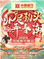 河南卫视2023年春晚在线观看