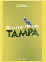 动物园秘辛：坦帕 第二季