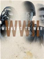 二战：战争的见证 第一季在线观看