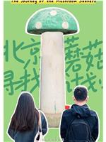 北京蘑菇寻找计划