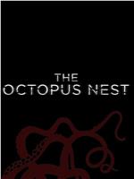 The Octopus Nest