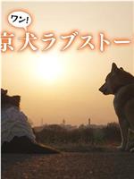 东京犬爱情故事在线观看