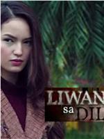 Liwanag sa dilim在线观看