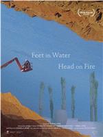 Feet in Water, Head on Fire在线观看