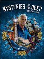深海之谜 第二季在线观看