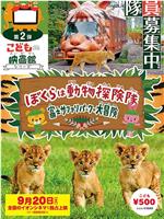 ぼくらは動物探検隊 富士サファリパークで大冒険在线观看