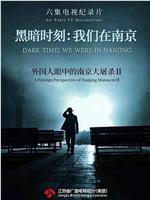 黑暗时刻·我们在南京在线观看