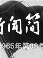 新闻简报1965年第39号