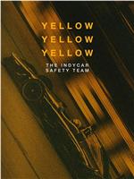 Yellow Yellow Yellow: The Indycar Safety Team