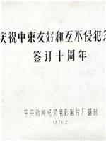 庆祝中柬友好和互不侵犯条约签订十周年在线观看