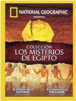 揭秘埃及：消失的亚历山大大帝的墓室 第一季在线观看