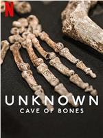 地球未知档案：骸骨洞穴在线观看