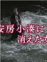 西村京太郎悬疑系列 大姐侦探·亚木子＆绿的旅情事件簿3在线观看