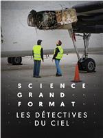 Les détectives du ciel在线观看