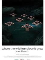 Where the Wild Frangipanis Grow