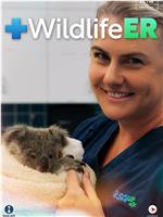 Wildlife ER Season 2