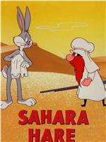 Sahara Hare