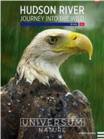 The Hudson River: Journey Into the Wild在线观看