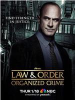 法律与秩序：组织犯罪 第四季在线观看