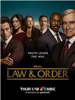 法律与秩序 第二十三季在线观看