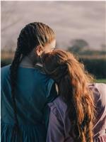 姐妹妻情缘在线观看