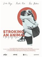 Stroking An Animal