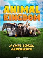 Animal Kingdom: A Tale of Six Families