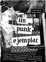 Un punk ejemplar在线观看