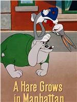 A Hare Grows in Manhattan