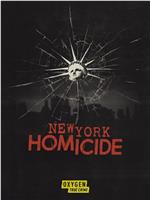 New York Homicide Season 1