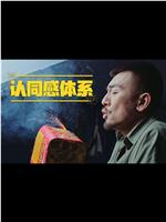 认同感体系在线观看