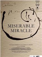 Miserable Miracle