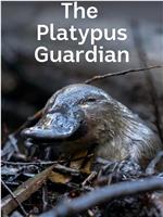 The Platypus Guardian