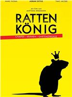 Rattenkönig在线观看