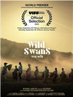 Wild Swans在线观看