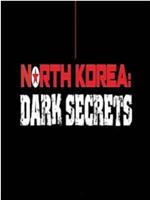 朝鲜：黑暗的秘密在线观看