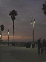 Venice Beach, CA.