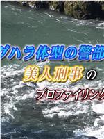 内田康夫悬疑剧 福原警部1在线观看