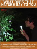 大自然对你说了什么