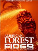 American Forest Fires: The Untold Story Season 1