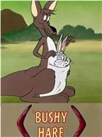 Bushy Hare