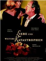 Liebe und weitere Katastrophen