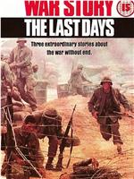 Vietnam War Story: The Last Days在线观看