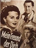 Mein Freund, der Dieb在线观看