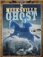 The Meeksville Ghost在线观看