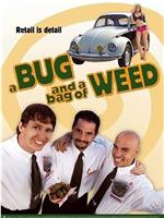 A Bug and a Bag of Weed在线观看